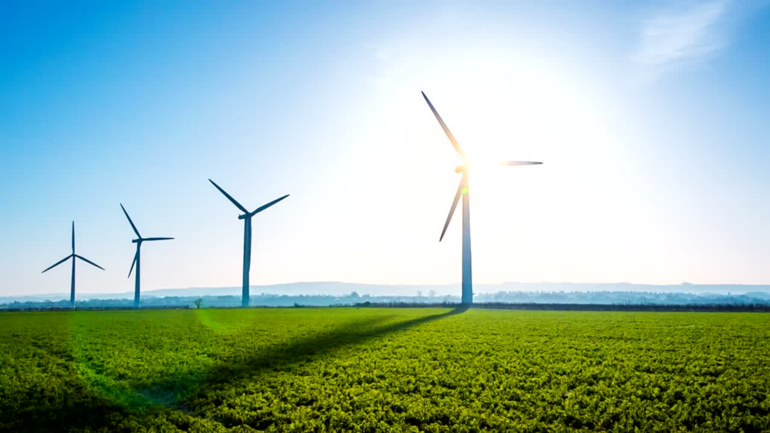 Energie verde regenerabila centrale eoliene camp